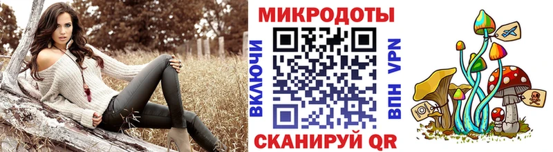 Псилоцибиновые грибы Psilocybe Коломна
